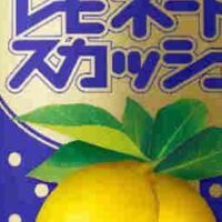 不二家「レモネードスカッシュ」シチリア産レモン10％使用のコクのある炭酸入り飲料