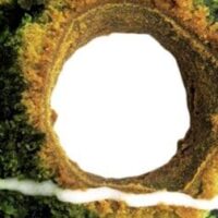 【5月23日新発売】セブン新入荷スイーツ「伊藤久右衛門監修オールドファッション宇治抹茶」「ひとくちチーズケーキ」「7プレミアム ザクッキーシュー」など