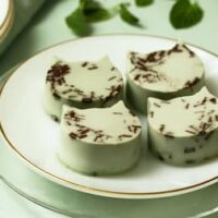 【本日発売】ねこねこ「にゃんチー チョコミント」まろやかチーズとすっきりミント味！「ねこねこ食パン まっ茶トラ」も