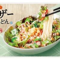 【最新】はなまるうどん メニューまとめ！テイクアウト・持ち帰り弁当・クーポン・カロリー・販売店舗・おすすめ天ぷら など 【2023年6月4日版】
