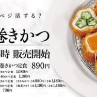 【最新】松のや 新作メニューまとめ お得なセール・増量キャンペーン・人気の定食・価格・販売期間・持ち帰り・朝メニューなど 【2023年6月25日版】