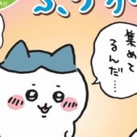 「期間限定 ちいかわふりかけ＜たまご＆たらこ＞」「期間限定 ちいかわカレー＜ビーフ中辛＞」オリジナルキラキラシール入り