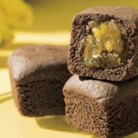 【最新】ゴディバ 新作チョコ まとめ！クッキー・アイス・ショコリキサー・ギフト・販売店舗 など 【2023年6月30日版】