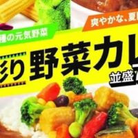 すき家「夏の彩り野菜カレー」「夏の彩りチーズ野菜カレー」チキンベースに生姜・トマト・カルダモン加えたさわやかな味わい！野菜はかぼちゃ・ヤングコーン・赤パプリカなど