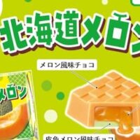 【本日発売】「チロルチョコ〈北海道メロン〉」メロン風味チョコにたっぷりのメロンジュレ！ジューシーで食べ応えのある一粒
