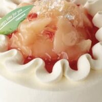 【最新】シャトレーゼ 新作スイーツまとめ！アイス・ケーキ・ホールケーキ 期間限定の新商品 サイズや価格 など 【2023年7月27日版】