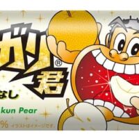 「ガリガリ君梨」細かい氷の割合多めで本物の梨みたいなシャクシャク食感！人気の季節フレーバーが今年も登場