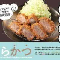 【最新】松のや 新作メニューまとめ お得なセール・増量キャンペーン・人気の定食・価格・販売期間・持ち帰り・朝メニューなど 【2023年8月21日版】