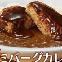 すき家「デミバーグカレー」ふっくら粗挽きハンバーグ！ 「おんたまデミバーグカレー」や「チーズデミバーグカレー」も登場