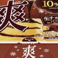 ロッテ「爽 生チョコinバニラ」今年は生チョコソース10%増量！ふんわりとした軽い食感＆華やかなカカオの香り