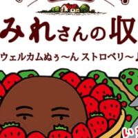 不二家「カントリーマアムまみれさんの収穫BOX」いちご果汁といちご味のチョコチップ入りクッキー！スーパーまみれさんカード1枚（全4種）付き