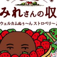 【本日発売】不二家「カントリーマアムまみれさんの収穫BOX」いちご果汁といちご味のチョコチップ入りクッキー！スーパーまみれさんカード1枚（全4種）付き