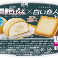 ロッテ「ISHIYA監修 雪見だいふく×白い恋人」11月13日発売 「白い恋人」の味わいをイメージ