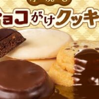 アントステラ「厚焼きチョコがけクッキー」シリーズ3種！厚焼きチョコチップ（ミルクチョコ）・厚焼きプレーン（ホワイトチョコ）・厚焼きダブルチョコナッツ（ビター風チョコ）11月1日発売