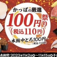 【本日発売】かっぱの厳選100円（税込110円）祭り～本鮪中とろ100円（税込110円）～「本鮪中とろぶつ包み」「三陸産 とろいわし」「北海道産 長万部漁港水揚げほたて」など