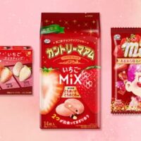 【本日発売】不二家「ルック（いちごテイスティング）」「カントリーマアム（いちごMIX）」「ミルキー（あまおう苺のパルフェ）袋」