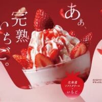 国産完熟いちご満載！びっくりドンキー1月24日から冬季限定いちごデザートフェア開催