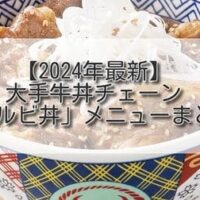 【2024年最新】大手牛丼チェーン「カルビ丼」メニューまとめ 吉野家/松屋 2社6品