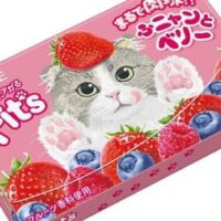 【本日発売】ロッテから猫の肉球をイメージした新フレーバーガム「Fit’s＜ふニャンとベリー＞」が2月13日に新発売！もちもち食感とミックスベリーの香りで癒やされる