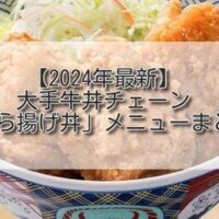 【2024年最新】大手牛丼チェーン「から揚げ丼」メニューまとめ 吉野家/なか卯 2社10品