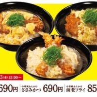 「松のや」が中華風あんかけロースかつなどの新メニューを3月13日から販売開始、ライス大盛無料サービスも実施