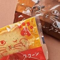 KALDI（カルディ）3月のチョコレートランキングTOP10！季節限定や数量限定もランクイン