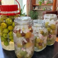 梅仕事アレンジいろいろ♡