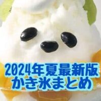 【2024年夏 最新版】かき氷まとめ！「ゴディバのチョコレートかき氷」・ミニソフ「かき氷 ピスタチオ」など