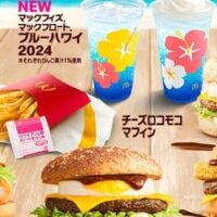 マクドナルド ハワイキャンペーン商品まとめ！「チーズロコモコ」「マックフロート ブルーハワイ2024」など7種