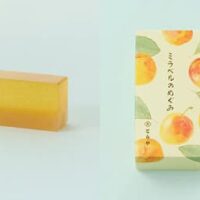 【とらや】夏の手土産におすすめ！期間限定のおしゃれな羊羹、あんペーストまとめ＆店舗情報まとめ！（新発売の羊羹「ミラベルのめぐみ」など）