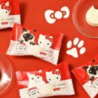 ハローキティの50周年を記念して、「ねこねこ」や「ピネード」とハローキティが初のコラボレーション！コラボ限定トートバッグも