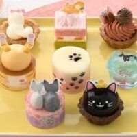 銀座コージーコーナー 猫スイーツ「ねこにまみれる(8個入)」「とらねこのケーキ」「小ねこサブレ(8枚入)」登場!