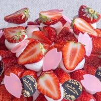 【ラ・メゾン】2025年3月限定！一度は食べたい絶品タルト特集｜春のおしゃれタルトまとめ