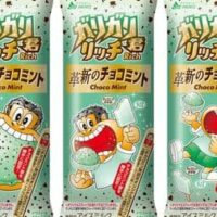 赤城乳業「ガリガリ君リッチ革新のチョコミント」国産山椒を使用したエキス入り!チョコミン党認定オリジナルスティックにも注目