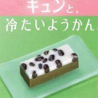 モスバーガー「アイスドルチェ いちご練乳ようかん」「アイスドルチェ 抹茶練乳ようかん」和風の溶けないアイス！「アイスドルチェ カップ ショコラ風ムースケーキ」も