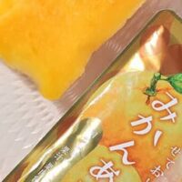 【保存版】カルディ(KALDI)2025年6月の新商品まとめ|人気スイーツ&注目アイス徹底紹介