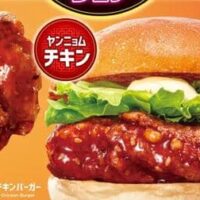 【本日発売】ロッテリアの韓国バーガーフェア「牛プルコギバーガー」「ヤンニョムチキンバーガー」登場！とろ～り濃厚なチーズ入りも
