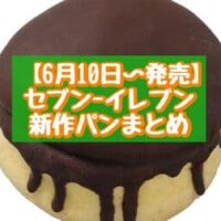 【本日発売】【6月10日～発売】セブン-イレブン 新作パンまとめ「プリンみたいなパン ダブルクリーム仕立て」「チョコクロッキー」など