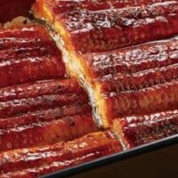 【2025年初夏】飲食チェーン店 うなぎメニューまとめ!ほっともっと・松屋・資さんうどん・ジョイフル・やよい軒・ほっかほっか亭の6ブランド