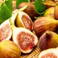 販売期間はたったの一週間！キルフェボン「2025晩夏のイチジク」とろーりジューシーなイチジクを召し上がれ｜販売期間は8月25日〜8月31日