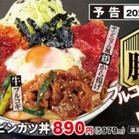 【本日発売】牛・豚・鶏が勢ぞろい!かつやの新作「牛豚鶏のプルコギビビンカツ丼」が10月10日発売!