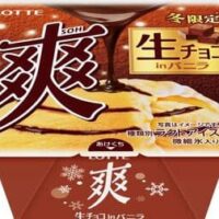 【2025年10月発売】新作アイスまとめ「PARM（パルム）ザ・カスタードプリン（1本入り）」「爽 生チョコinバニラ」など