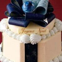 2025年も資生堂パーラーのクリスマスケーキがやってきた！予約必須の銀座本店ショップ限定ケーキや販売店舗限定ケーキなど