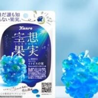 【2025年11月】発売予定のコンビニお菓子注目3選～果汁グミ、カービィなど～