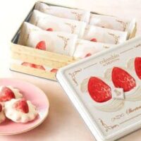 【2025年11月】おすすめ手土産 新商品まとめ！チーズガーデン・コロンバン・BAKE CHEESE TART・ねんりん家・ありあけの5ブランド