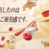 【2025年11月】チョコレートスイーツ新商品まとめ第2弾「白いチョコパイプレミアム」「あまおう苺の小枝」など