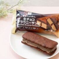 【2025年11月】チョコレートアイス新商品まとめ「ガリガリ君リッチ四角チョコパイ」「セブンプレミアム 生チョコブラウニーサンド」など