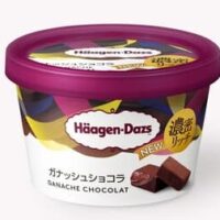 【2025年11月】発売予定の新作アイス注目3選：冬のごほうびにぴったりな濃厚スイーツアイスまとめ