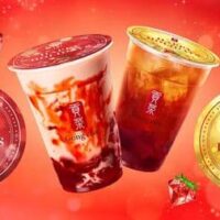 【2025年11月後半～12月前半】カフェチェーン 新作ドリンクメニューまとめ！スターバックス/ドトール/ゴンチャ/エクセルシオール カフェ/カフェ・ド・クリエ/プロントの6ブランド