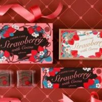 【本日発売】いちごとココアの贅沢な出会い「いちごチーズケーキwithココア」が資生堂パーラーから数量限定発売